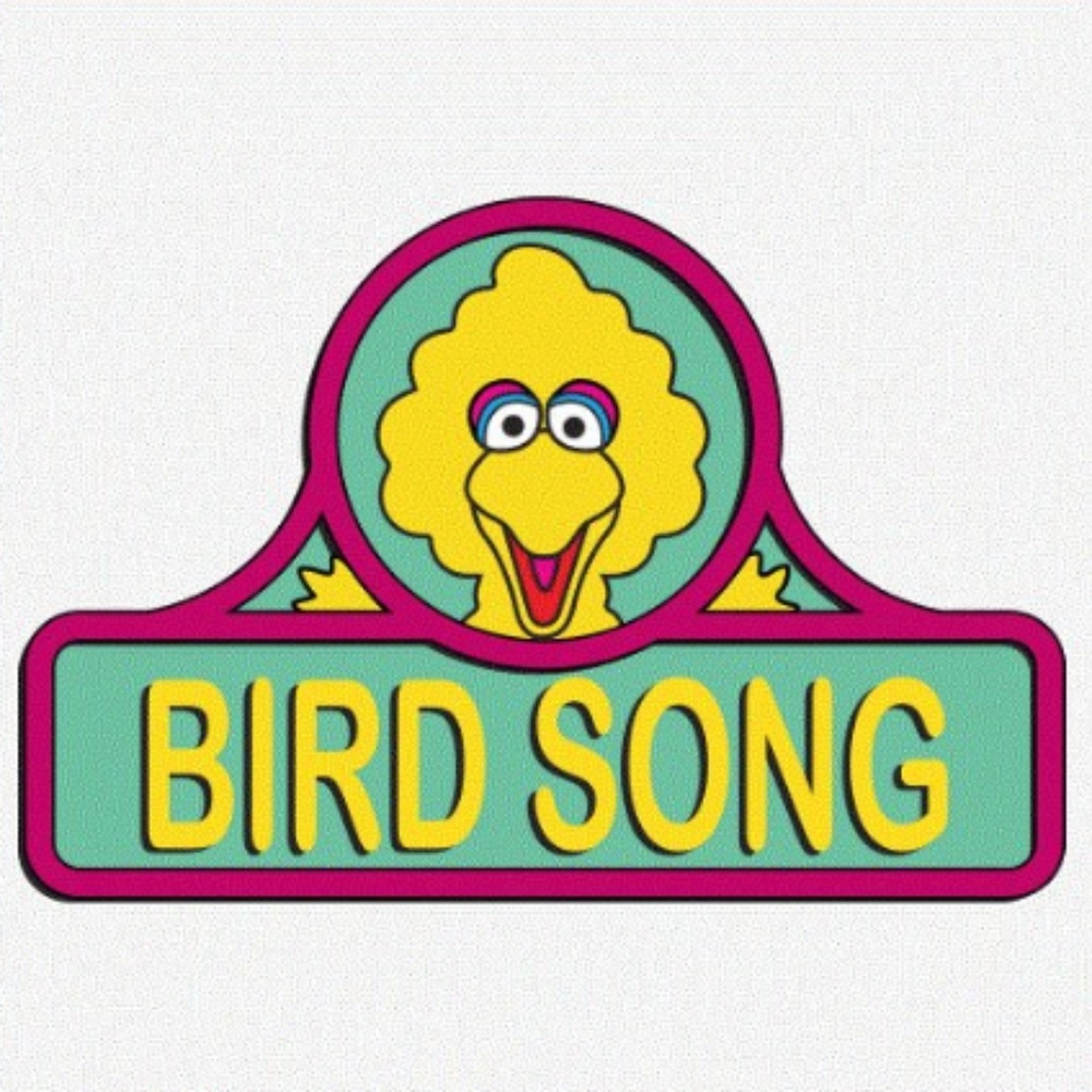 Grateful Dead big bird  birdsong shirt